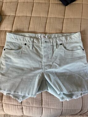 Carve Designs shorts